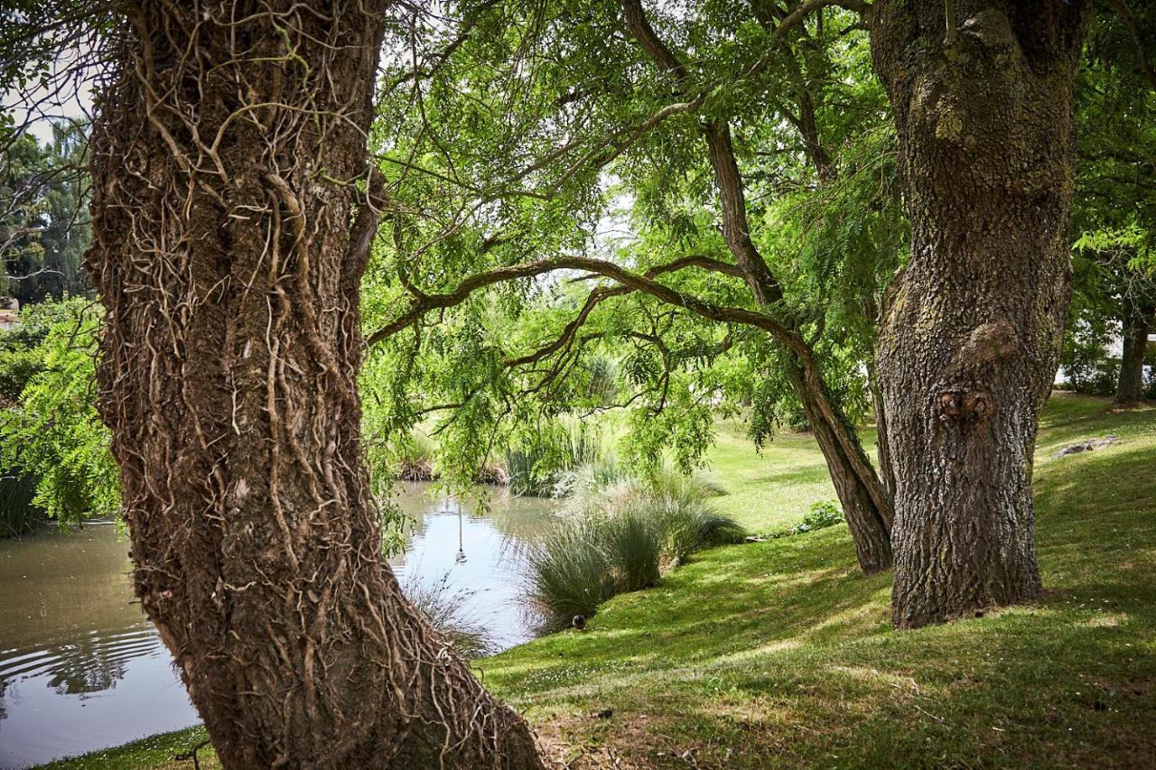 Les Jardins De L'Anjou Otel Montjean-sur-Loire Dış mekan fotoğraf