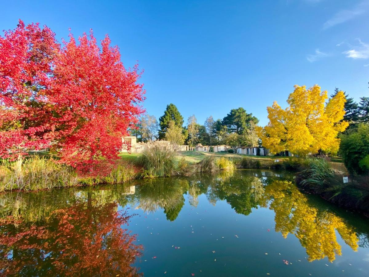 Les Jardins De L'Anjou Otel Montjean-sur-Loire Dış mekan fotoğraf